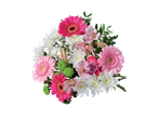 Un buchet frumos de garoafe gerbera, crizanteme și alstromerii.