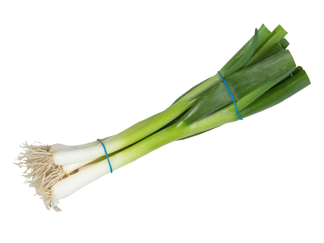 Bunch of fresh green scallions.