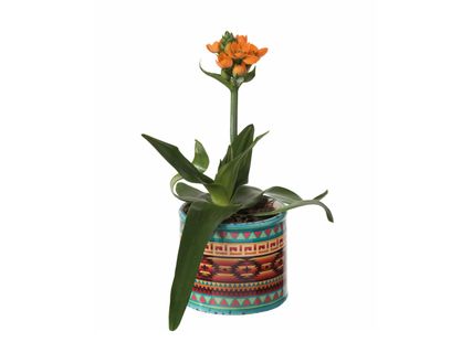 Sárma Afrikai-stílusú kerámiában*