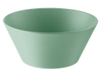 Livarno Home green bowl from the Plate/Bowl/Tumbler Assortment.