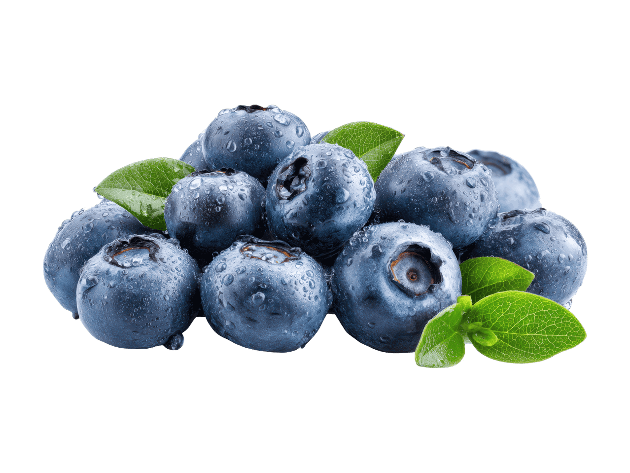 Frische Heidelbeeren mit Tautropfen und grünen Blättern auf schwarzem Hintergrund.