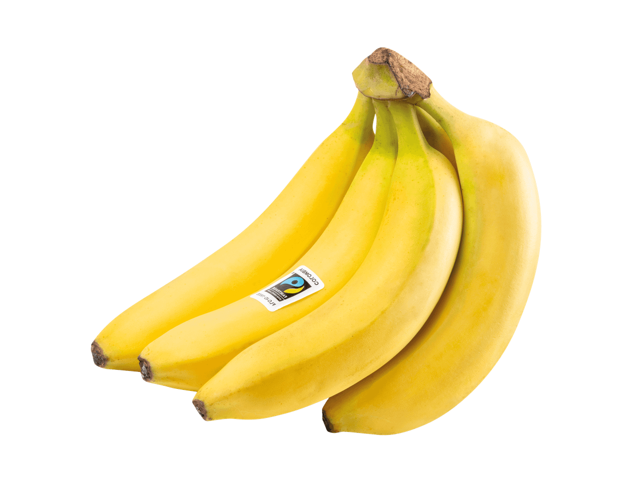 Eine Bananenstaude mit einem Fairtrade-Aufkleber auf schwarzem Hintergrund.