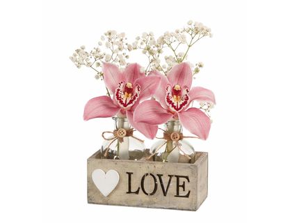 Valentin-napi cymbidium*