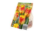 Pack of Tulipa 'Banja Luka' flower bulbs