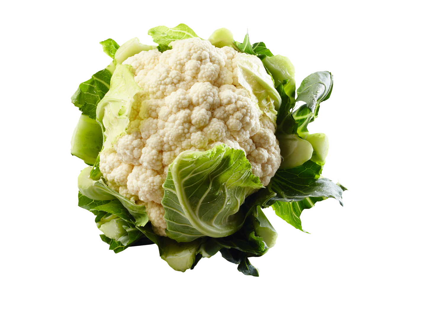 Bloemkool