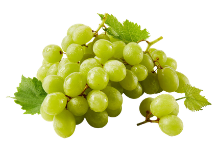 Mag nélküli fehér szőlő