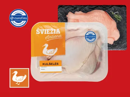Šviežios ančių kulšelės