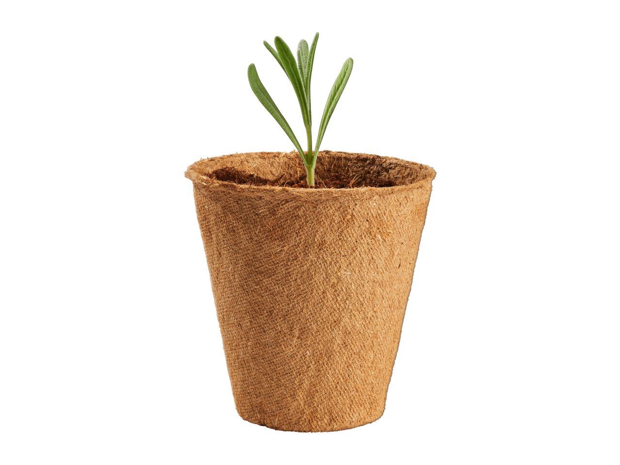 Go to full screen view: Parkside Grow Pots - 40 pack - Image 3