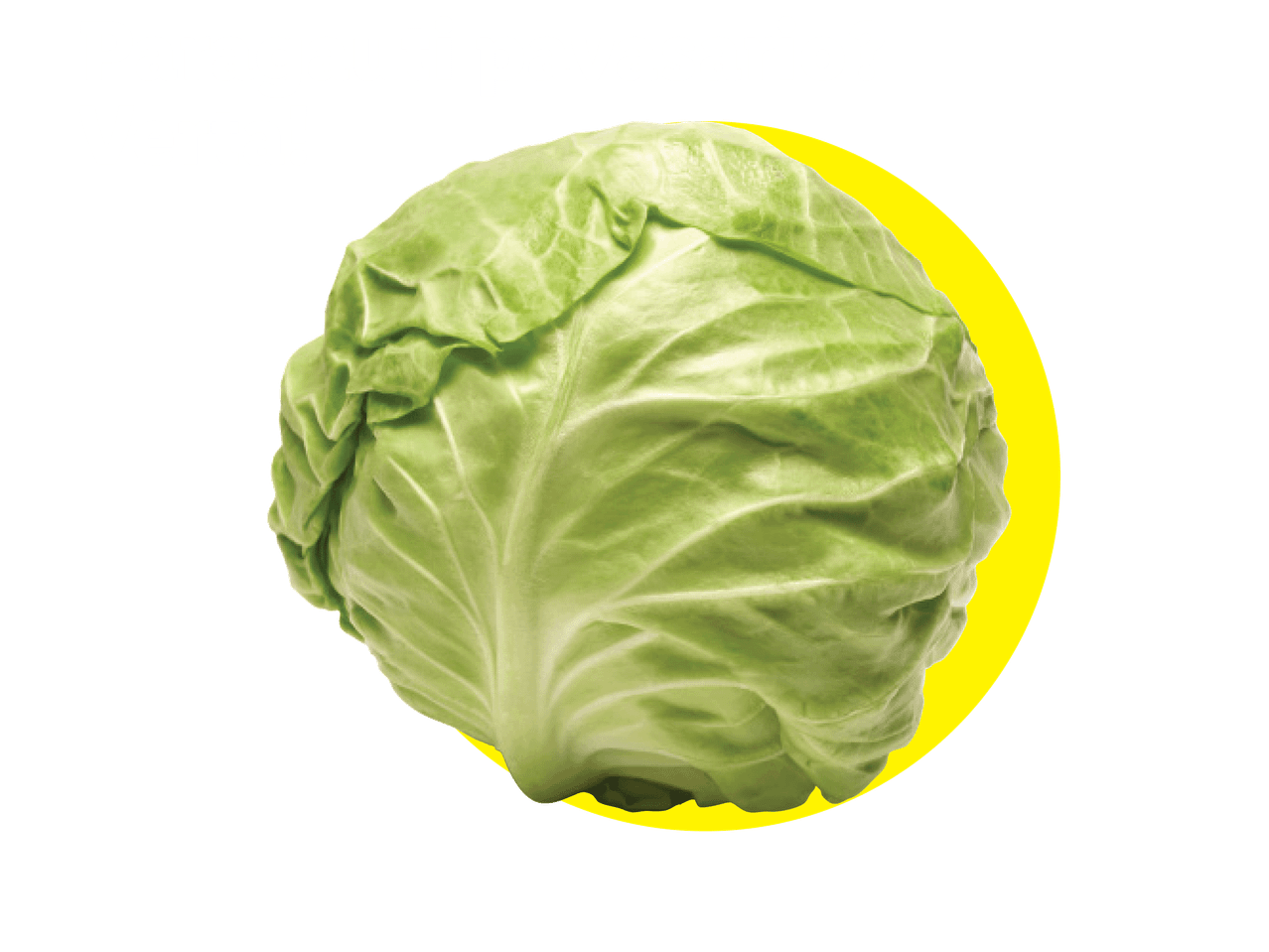 Šviežias kopūstas su užrašu „Paragauti pavasario? Verta!“ ant juodo fono su geltonu apskritimu.