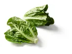 Two heads of fresh romaine lettuce.