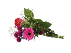 Gerberas, rosas e crisântemos num lindo ramo.