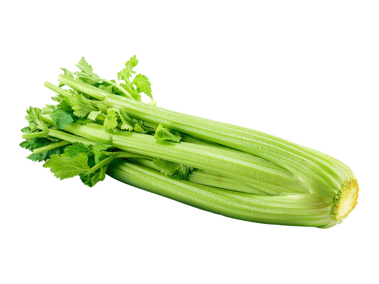 Fresh green celery stalks with leaves, isolated on a white background.