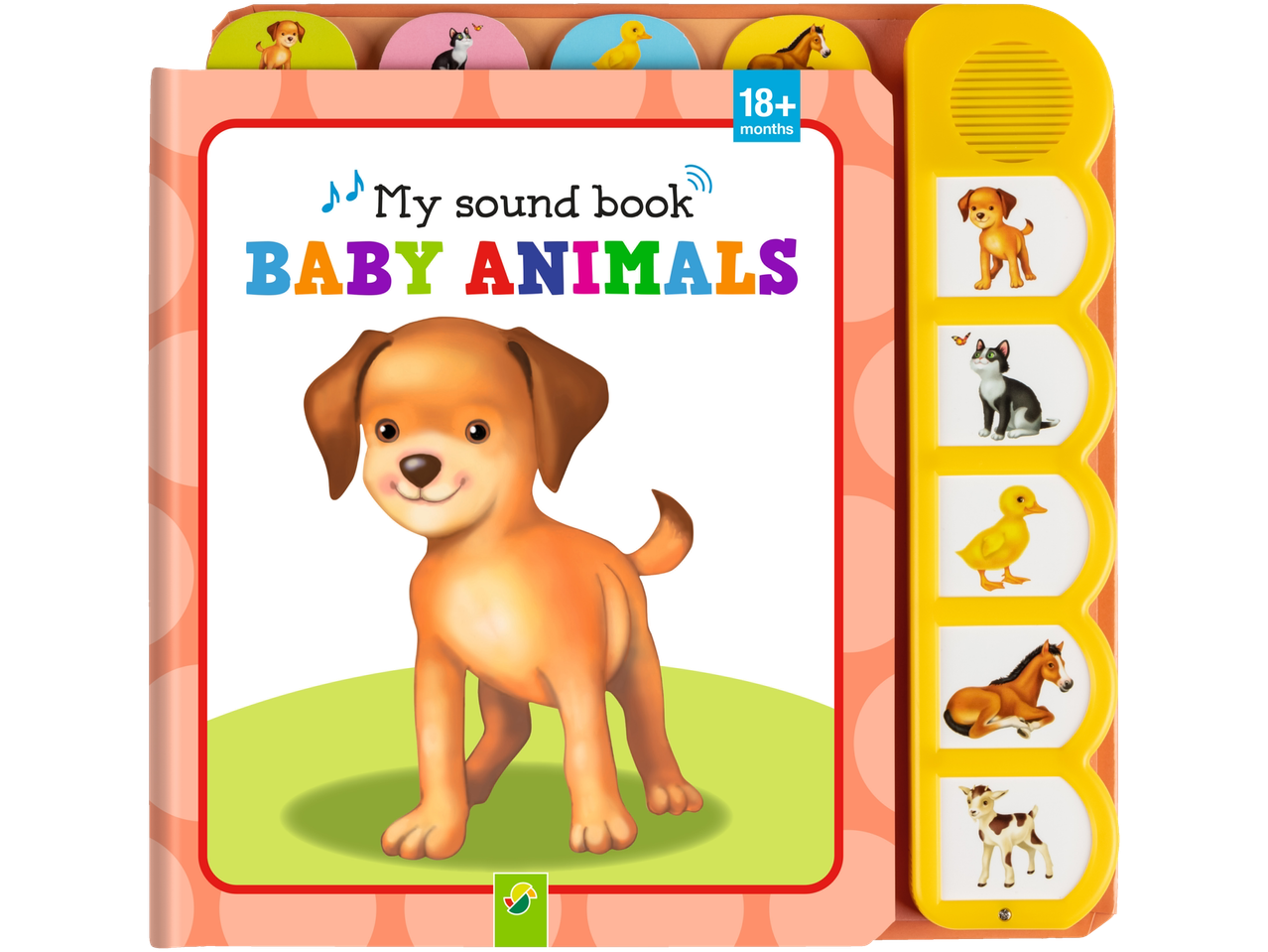 Baby animal sound book: puppy, kitten, duckling, and foal.
