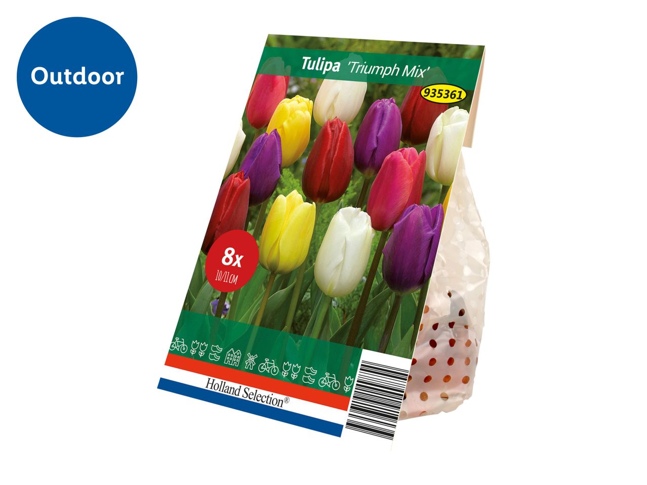 Tulipa 'Triumph Mix' flower bulb packaging with 