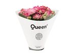 En buket lyserøde Kalanchoe-blomster fra Queen, pakket i en elegant hvid konvolut.