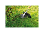 Brush cutter with a metal blade next to a bush and grass.