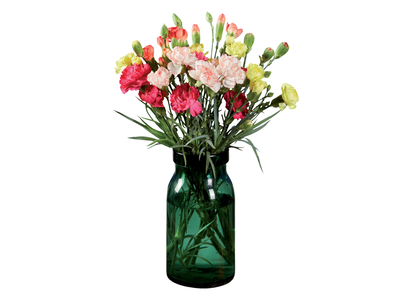 Buchet de garoafe multicolore într-o vază verde.