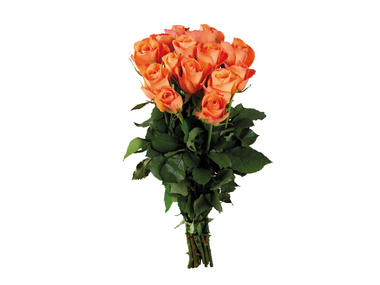 Um buquê de rosas laranja-escuro.