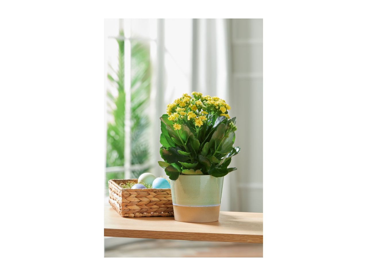 Go to full screen view: Livarno Home Plant Pot - Green - Image 2