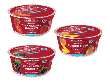 Pehmeä turkkilainen jogurtti 4 kpl