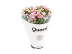 En buket lyserøde Queen-blomster i en hvid konvolut.