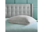 An Aloe Vera pillow rests on a light teal bedsheet.
