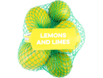 Lemons and limes in a net bag.