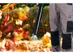 A man uses a leaf blower to clear fallen leaves.