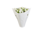 Flores brancas em uma manga de papel.