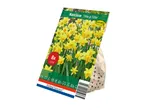 Pack of 8 Narcisse 'Tête à Tête' flower bulbs