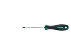 A Parkside PZ1x100mm screwdriver with a black and green handle.