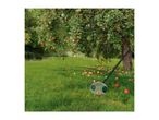 Apple picker tool with apples on the ground under an apple tree.