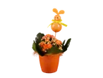 Plante de Kalanchoé orange en pot avec un lapin de Pâques.