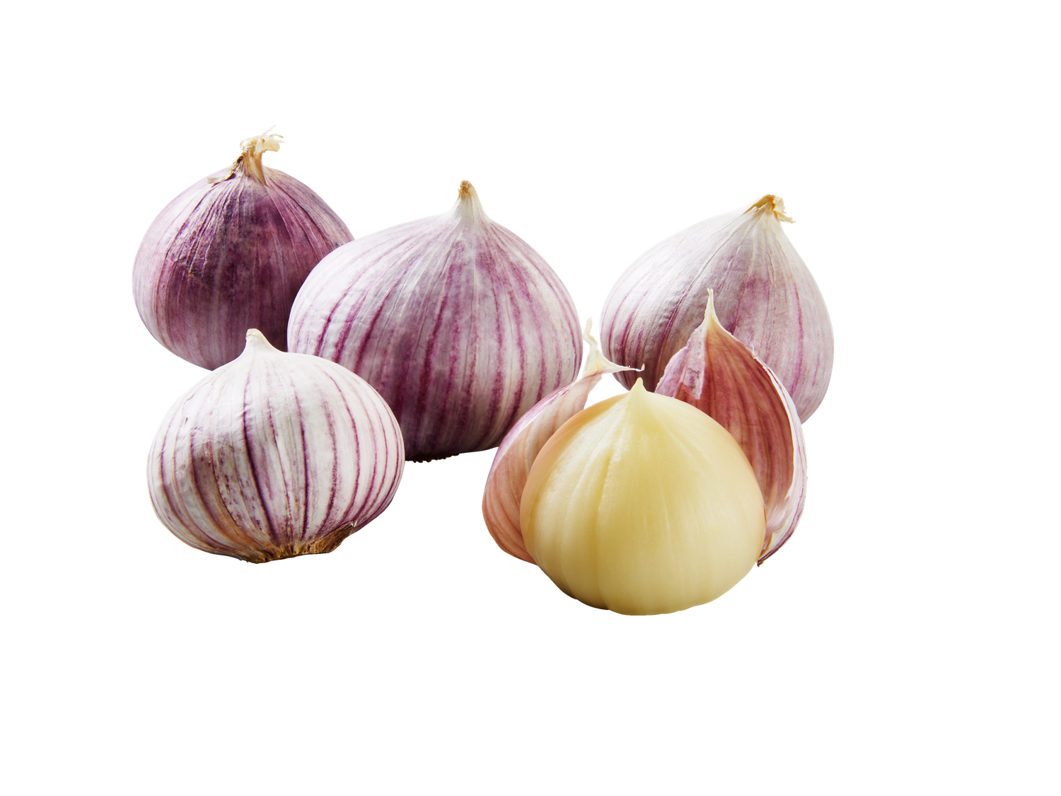 Knoflook in mand