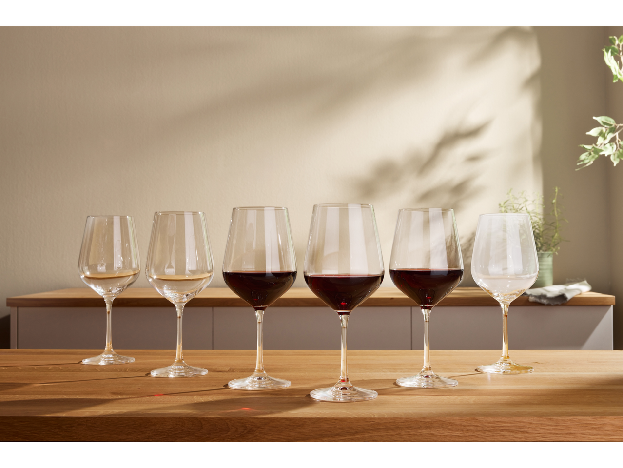 Șase pahare de vin, două pentru vin alb și patru pentru vin roșu, pe o masă din lemn.