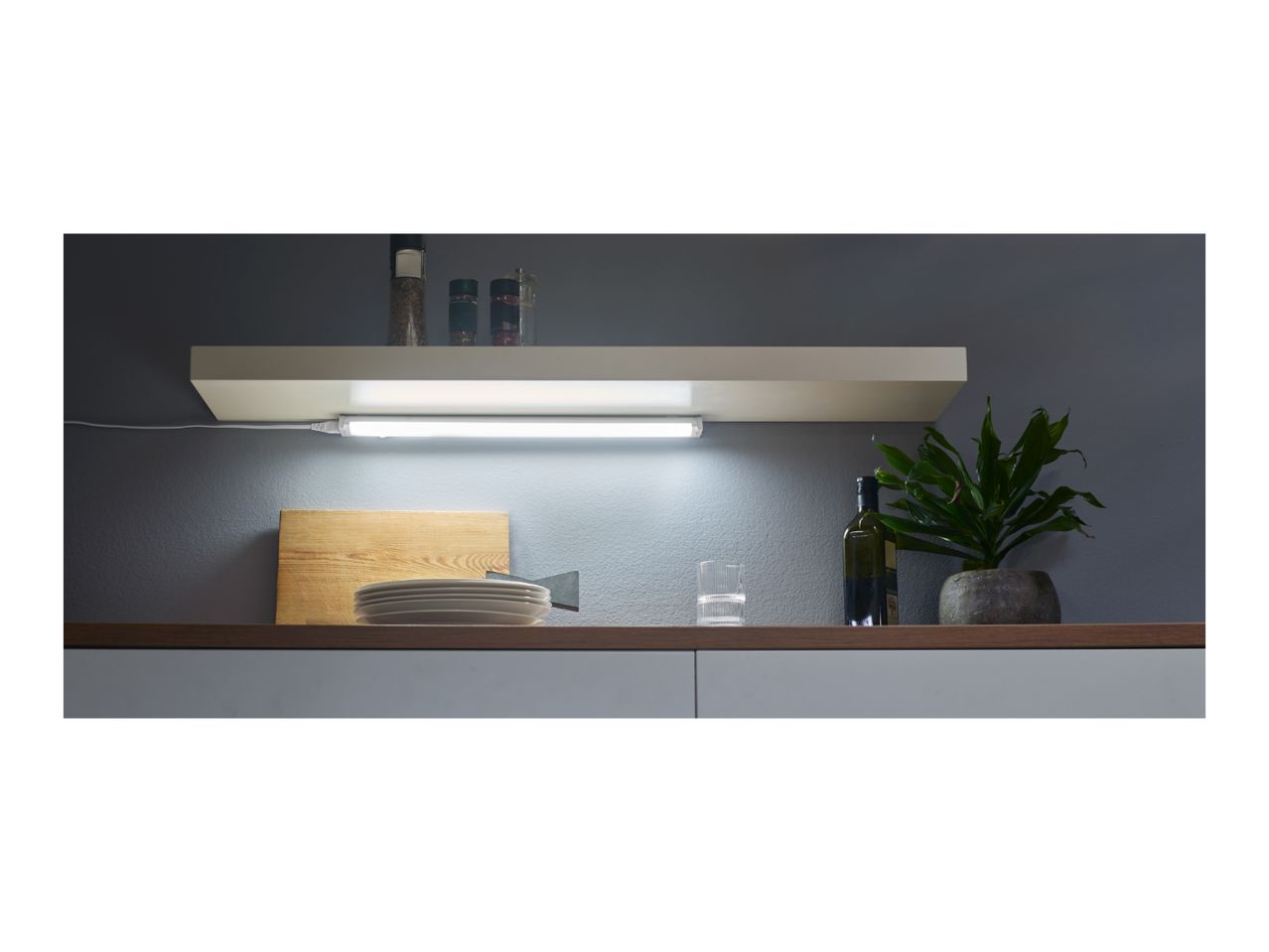 Kitchen shelf with under-cabinet lighting, spices, plates, and a plant.