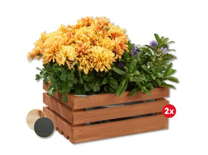 PARKSIDE® Taimekastide komplekt
