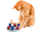 Gato ruivo a brincar com um brinquedo interativo ZOOFARI com recipientes vermelhos e azuis.