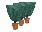Three potted plants covered with green protective fleece bags