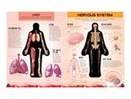 An educational diagram illustrating the human lungs and nervous system with detailed labels.