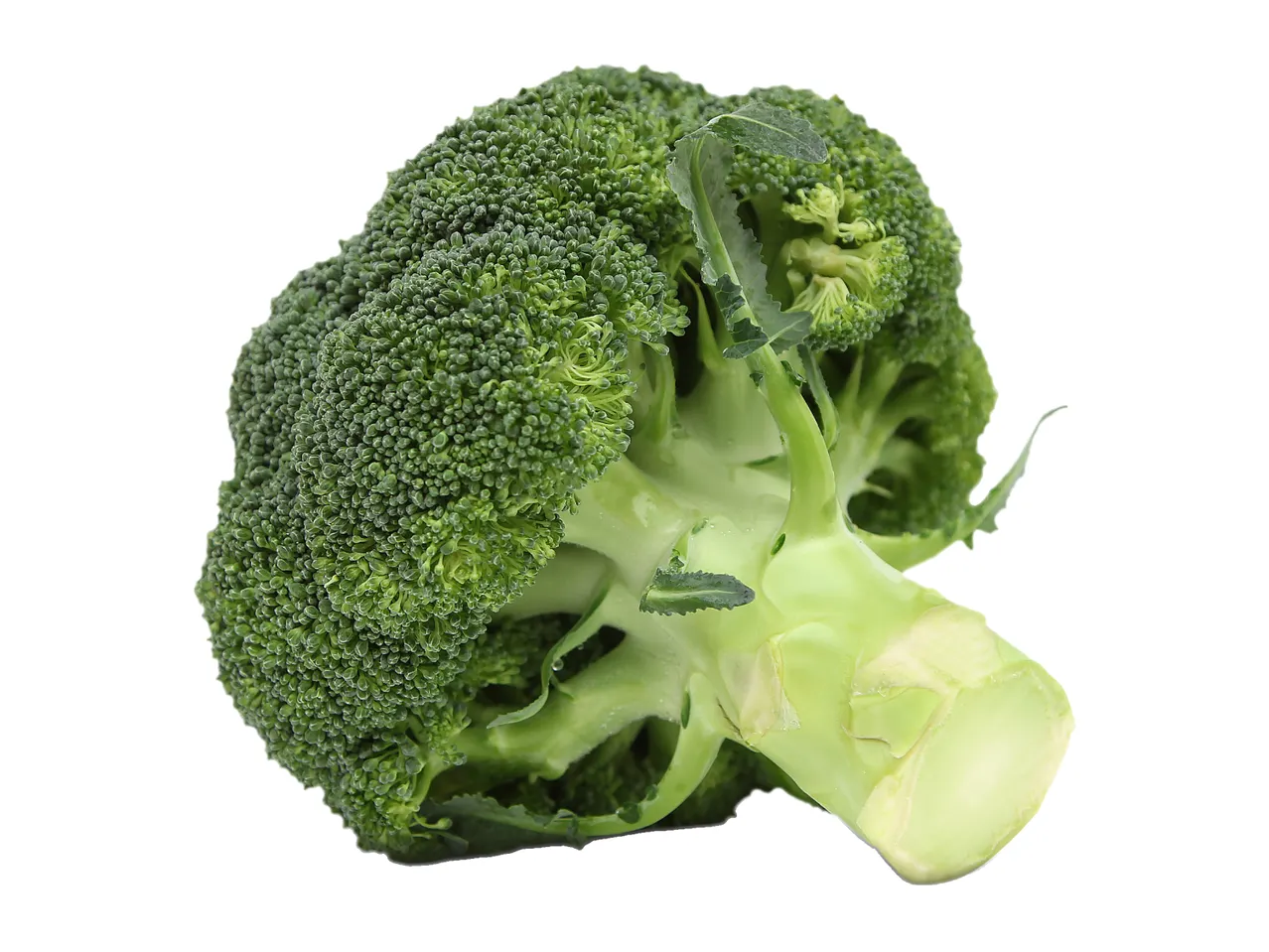 Broccoli Florets