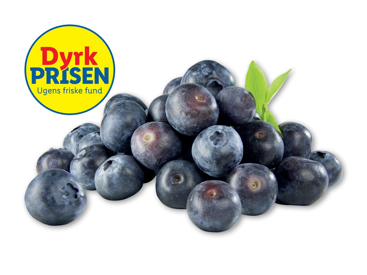 Dyrk Prisen: Blåbær med friske blade.