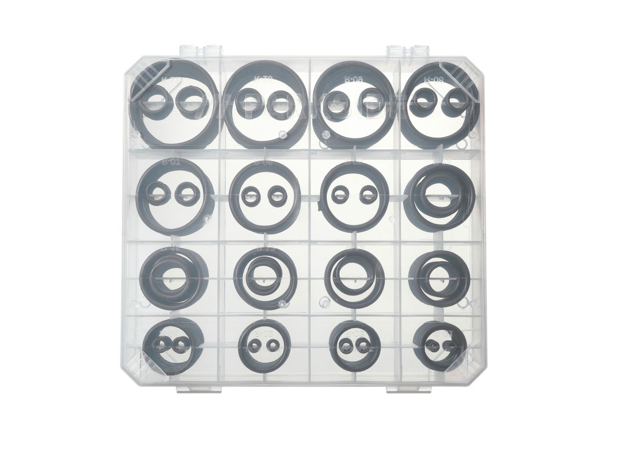 Set guarnizioni o O-Ring in una scatola di plastica.