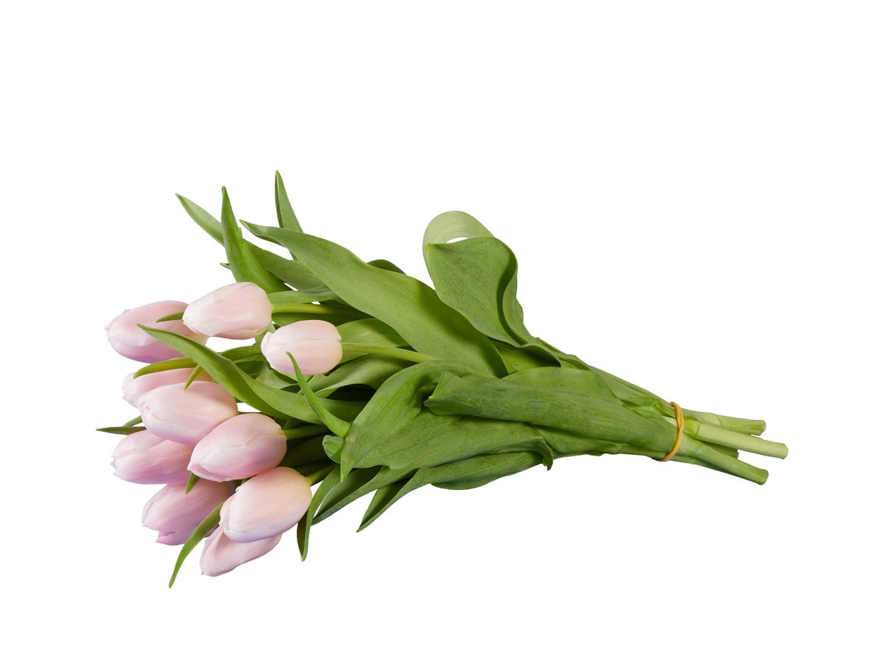 Aller en mode plein écran : Bouquet de roses ou de tulipe - Image 4