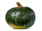 Een donkergroene pompoen met een bruine steel en een geelbruine onderkant.