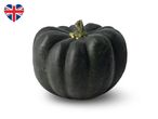 Dark green acorn squash with a heart-shaped Union Jack flag