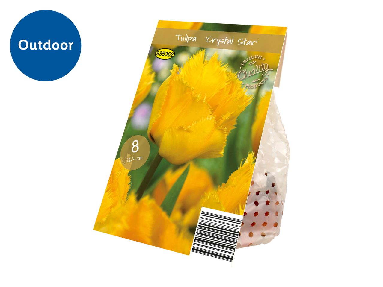 Tulipa 'Crystal Star' bulb packaging with a barcode and product details.