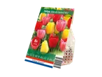 Packaging for 'Darwin Hybrid Mix' tulip bulbs from Holland Selection.