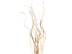 Golden dried decorative twigs for Christmas