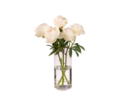 Buchet bujori